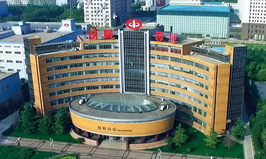 祝賀顆粒物過濾效率儀中標石家莊以嶺（lǐng）藥業！